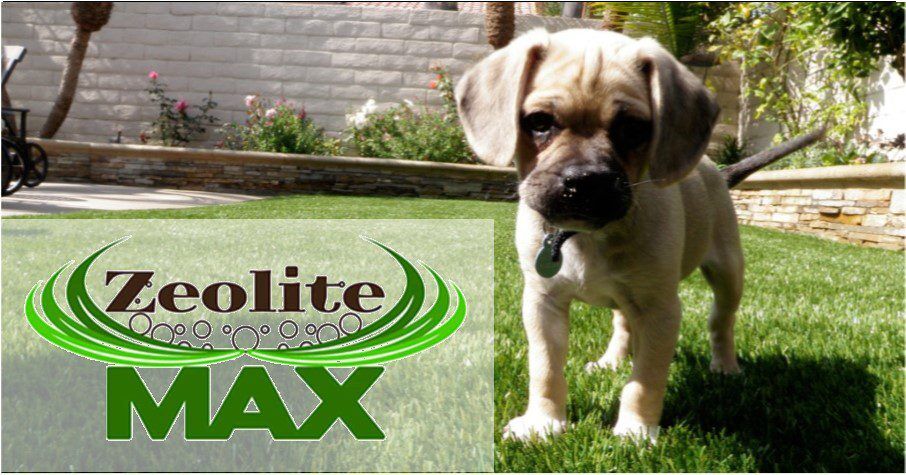 Pet Artificial Grass for Backyards, Kennel, Dog Parks Green-R Turf Corona