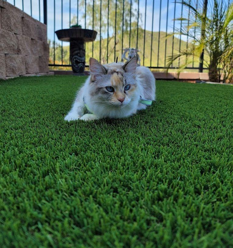 Green-R Turf Artificial Grass & Pavers, Corona, Riverside, CA