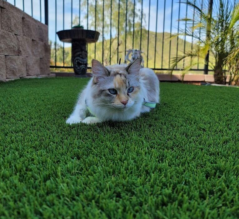Green-R Turf Artificial Grass & Pavers, Corona, Riverside, CA