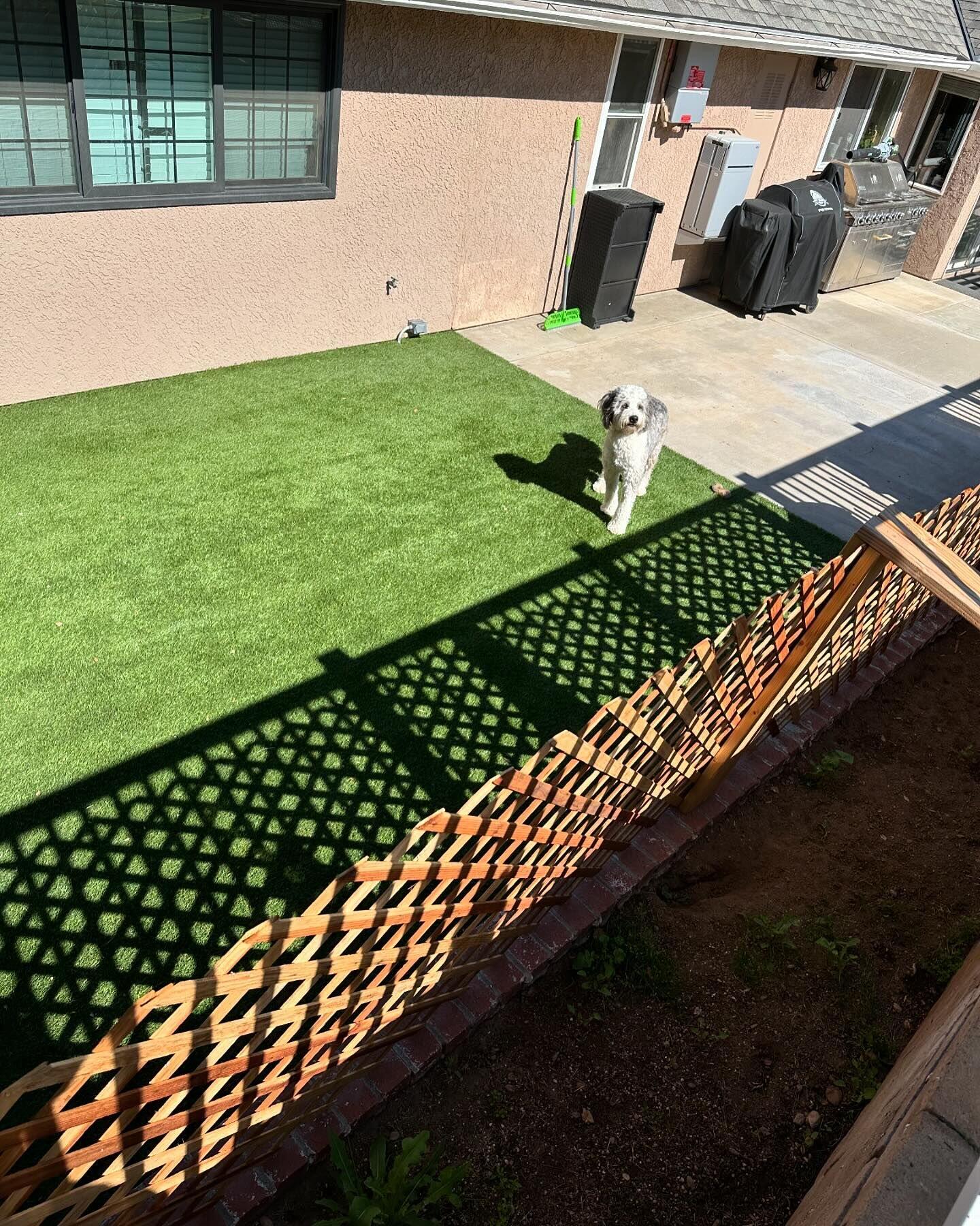 Evergreen Artificial Grass, Green-R Turf, Corona, CA