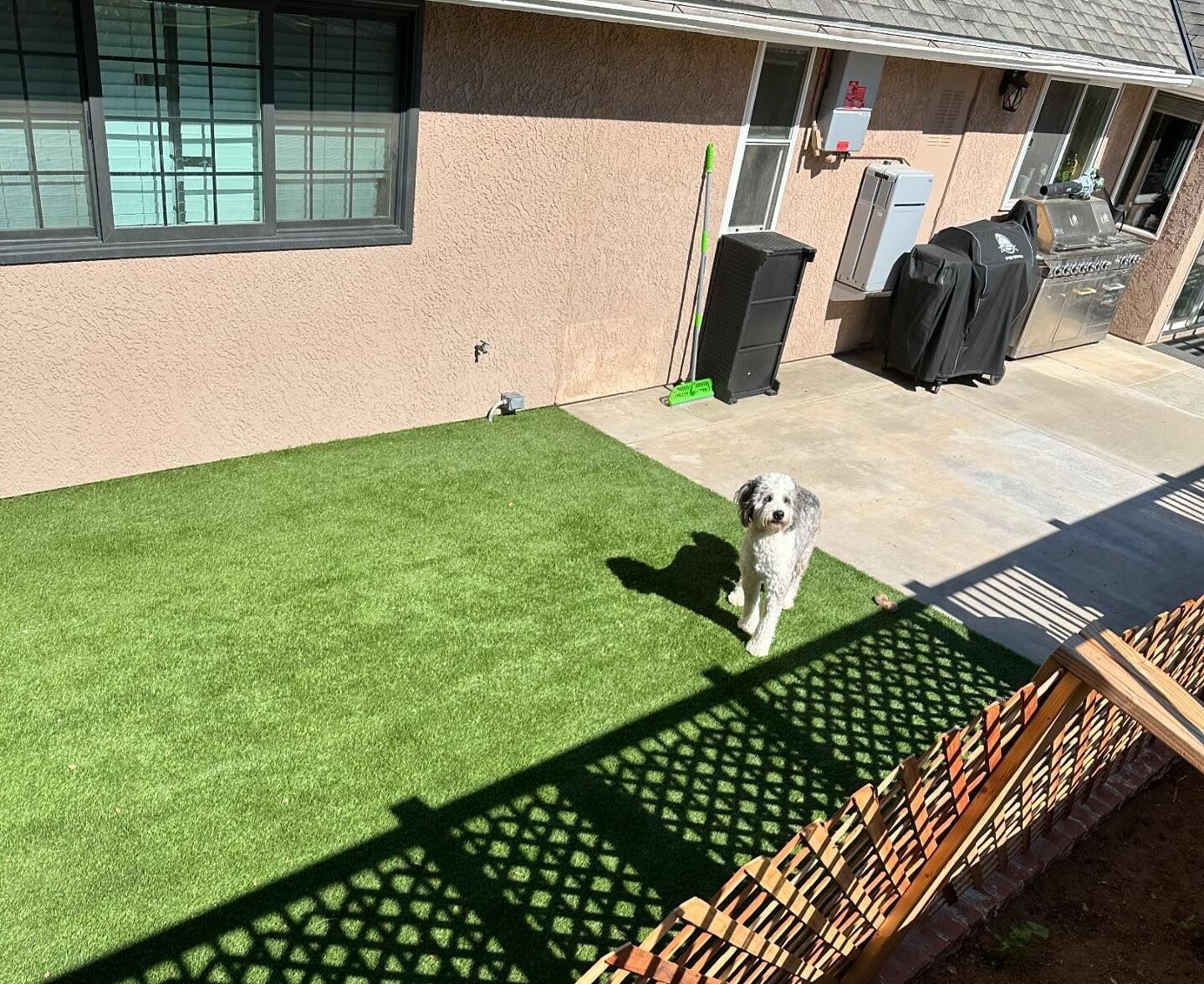 Pet Odor Treatment / Turf Refresh, Green-R Turf Corona, CA