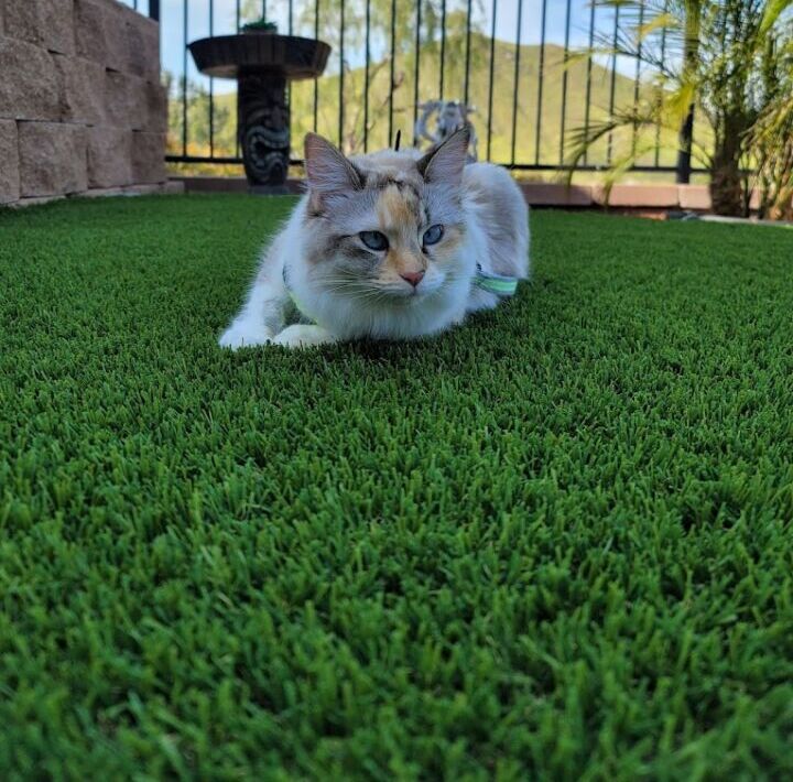 Artificial Grass Products & Accessories, Green-R Turf, Corona, CA