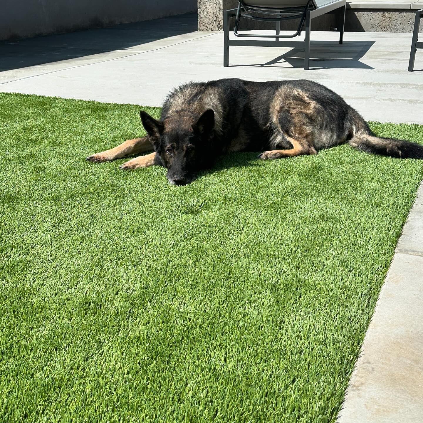 Residential Artificial Grass can transform any yard, Green-R Turf