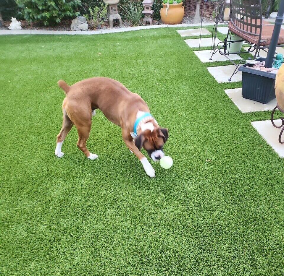 image2 Green-R Turf Artificial Grass & Pavers, Corona, Riverside, CA